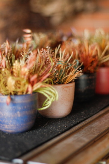Mini arranjos de flores secas em vasos cerâmicos coloridos
