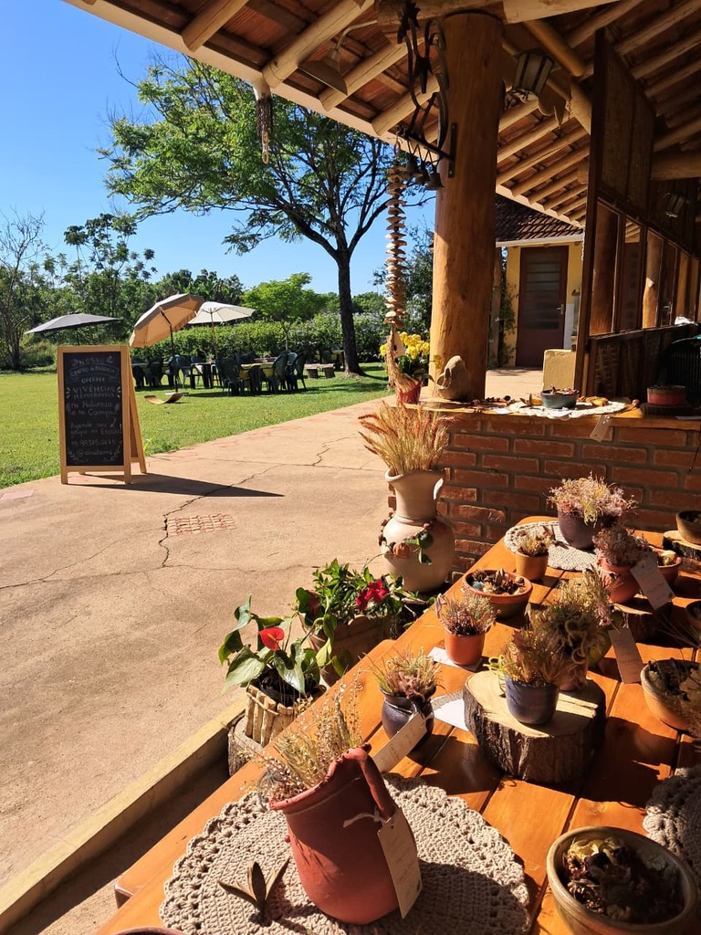 Banca da Casa da Dréa montada em feira ao ar livre, com mesa de madeira repleta de vasos e arranjos